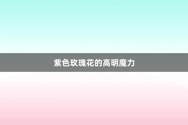紫色玫瑰花的高明魔力