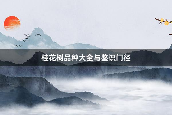 桂花树品种大全与鉴识门径
