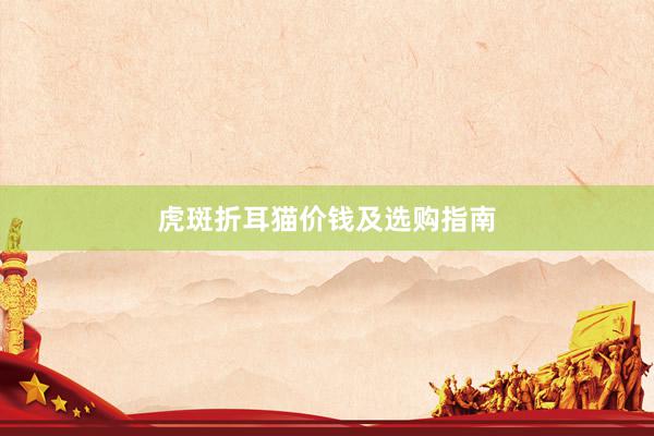 虎斑折耳猫价钱及选购指南