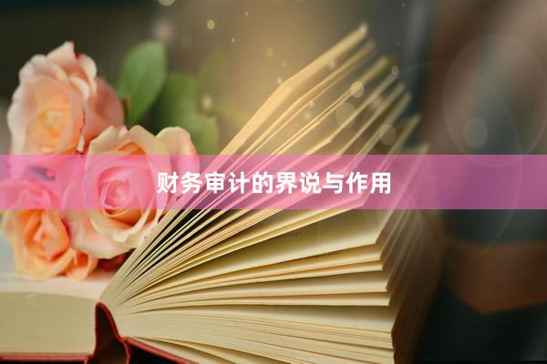 财务审计的界说与作用